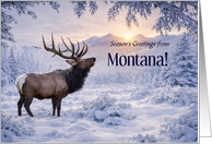 Montana Christmas Elk in the Snow Beautiful Landscape Outdoors Custom card