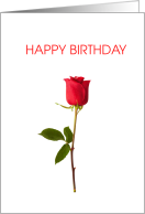 Elegant Single Red Rose Flower Birthday card