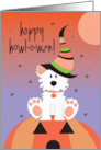 Howl-o-ween Halloween from Pet Dog Sitting on Jack O Lantern in Hat card