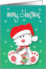 Hand Lettered Fluffy White Dog in Santa Hat with Dangling Stocking card