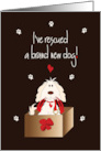 Announcement of I’ve Rescued a Brand New Dog with Dog in Box card