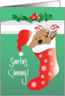 Hand Lettered Santa’s Coming Bear in Santa Hat in Red Stocking card