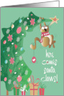 Hand Lettered Santa Claws Cat and Tree Christmas for Vet and Staff card