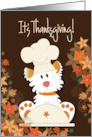 Hand Lettered Thanksgiving From Pet Dog in Chef’s Hat with Turkey Pan card