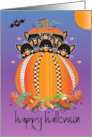 Hand Lettered Halloween Six Black Cats in Orange Decorated Pumpkin card