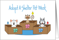 Adopt a Shelter Pet Week with Two Dogs and One Cat in Boxes with Bows card