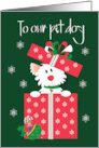Hand Lettered Christmas for Pet Dog Fluffy Dog in Red Package with Bow card