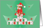 Hand Lettered Baby’s First Christmas Bear in Santa Hat Colorful Blocks card