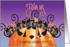 Hand Lettered Halloween Black Cat Pumpkin Carving Party Invitation card