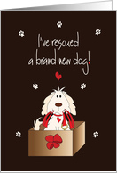 Announcement of I’ve Rescued a Brand New Dog with Dog in Box card