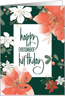 Hand Lettered December Birthday Flowers of Red and White Poinsettias card