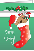 Hand Lettered Santa’s Coming Bear in Santa Hat in Red Stocking card