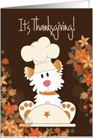 Hand Lettered Thanksgiving From Pet Dog in Chef’s Hat with Turkey Pan card
