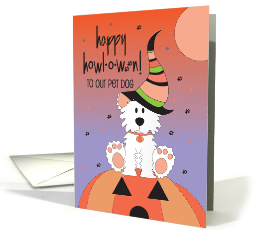 Hand Lettered Halloween for Pet Dog Fluffy Dog in Witch... (1882914)