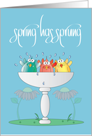 Hand Lettered Spring Has Sprung Spring Fever Three Birds in Bird Bath card