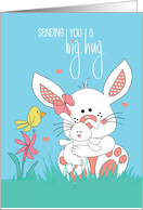 Sending You a Great Big Encouragement Hug Bunny Snuggling Toy Bunny card