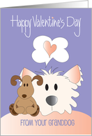 Hand Lettered Valentine’s Day From Granddog with Fluffy Dog and Toy card