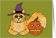 Witchy Halloween Cat card