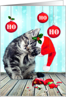 Ho Ho Ho Merry Christmas Cute Cat card