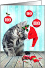Ho Ho Ho Merry Christmas Cute Cat card