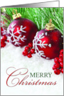 Elegant and Snowy Christmas Wishes card