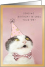 Funny Cat Seinding Birthday Wishes card