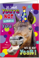 Birthday humour with a Laughing Horse and Colours card