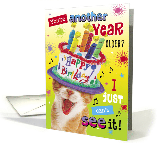 Birthday Humour Funny Cat with Cake Hat card (1788074)