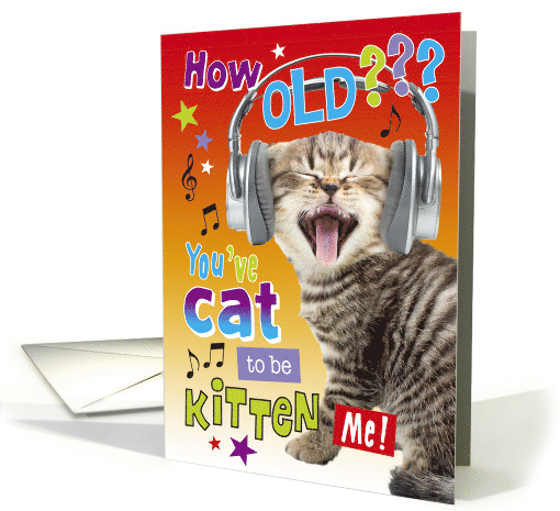 Funny Cat Birthday Age Humour card (1788146)