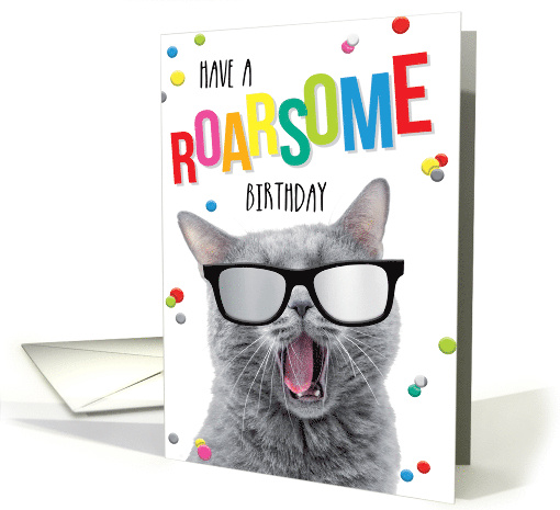 Adorable Funny Cat Birthday Humour card (1867972)