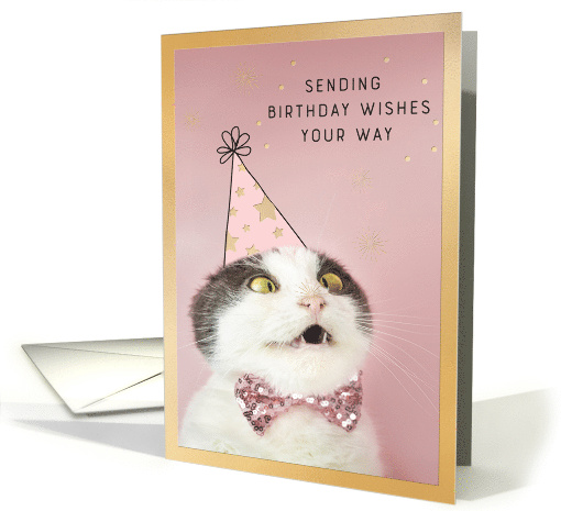 Funny Cat Seinding Birthday Wishes card (1883932)