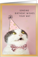 Funny Cat Seinding Birthday Wishes card