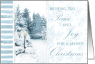 Christmas Snow Scene Wishing Peace and Joy card