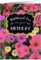 Birthday for Anyone with Bright Petunia Flowers card