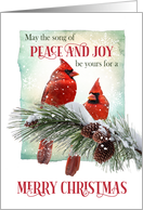 Christmas Peace and Joy with Two Cardinals on a Snowy Branch card