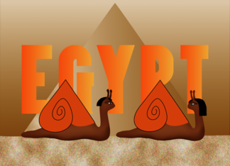 Across the Miles Hello Egyptian Snails with Pyramid Shells