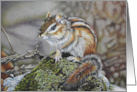 Curious Chipmunk All Occasion Blank Inside card