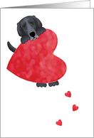 Black Labrador Retriever Valentines Day Love With a Heart card