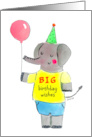 Birthday Wishes Elephant Holding a Balloon Card