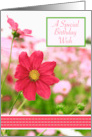 Birthday for Anyone, Field of Pink Cosmos Flowers card