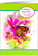 Mother’s Day Grandma with Pink Cosmos Flowers and Monarch Butterfly card