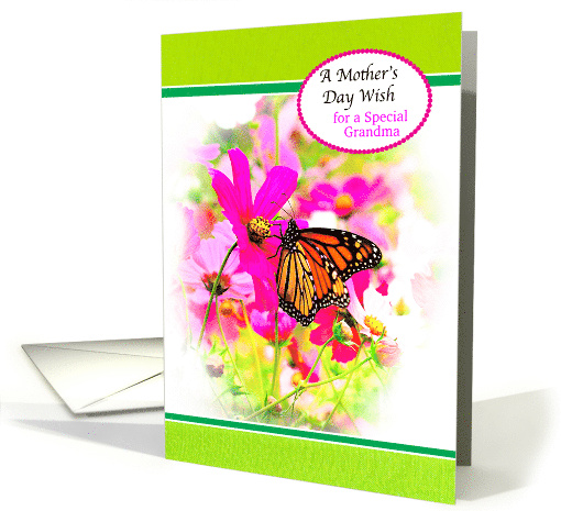 Mother's Day Grandma with Pink Cosmos Flowers and Monarch... (1833052)