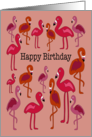 Flamingo Birthday for All card