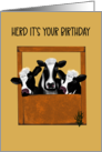 Birthday Cows Herd Its Your Birthday card