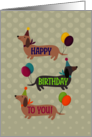 Birthday Dachshund Balloons card