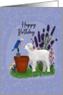 Birthday in the Garden with Sheep and Bird card