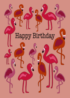 Flamingo Birthday...