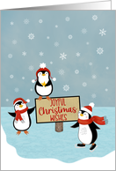 Christmas Joyful Wishes Penguins on Ice card