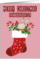 Christmas for Granddaughter Stocking with Bunny card
