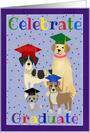 Graduation Celebrate Graduate Dogs card